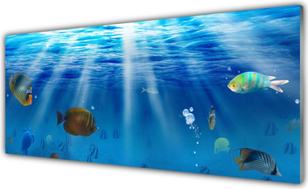 Küchenrückwand aus Glas 125x50cm Spritzschutz Fische Natur