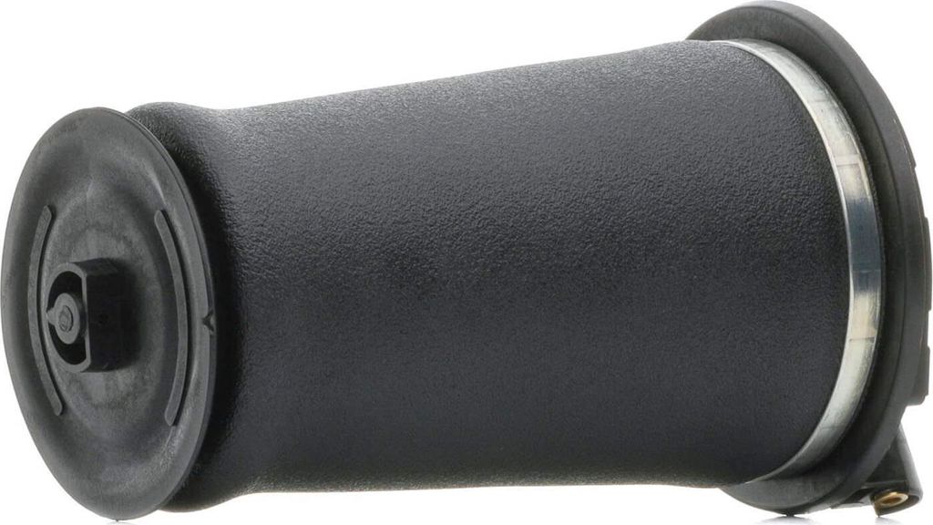 RIDEX 4119A0036 Luftfederung Luftfeder für LAND ROVER Range Produktbild 