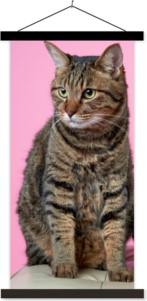 MuchoWow Textilposter Katze - Rosa - Pouf - Mädchen - Kinder - Kinder 90x180 cm mit schwarzem Rahmen - Dekoration Wohnzimmer