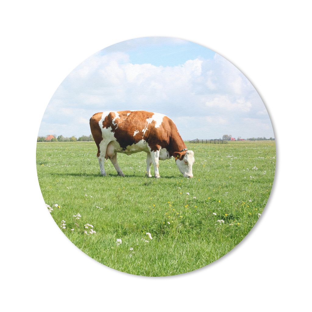 MuchoWow Mauspad Mousepad Kuh - Braun - Weiß - Tier 30x30 cm - Mousepads - Maus Mat - Pad - Mausunterlage - Tischunterlage - Schreibtischmatten
