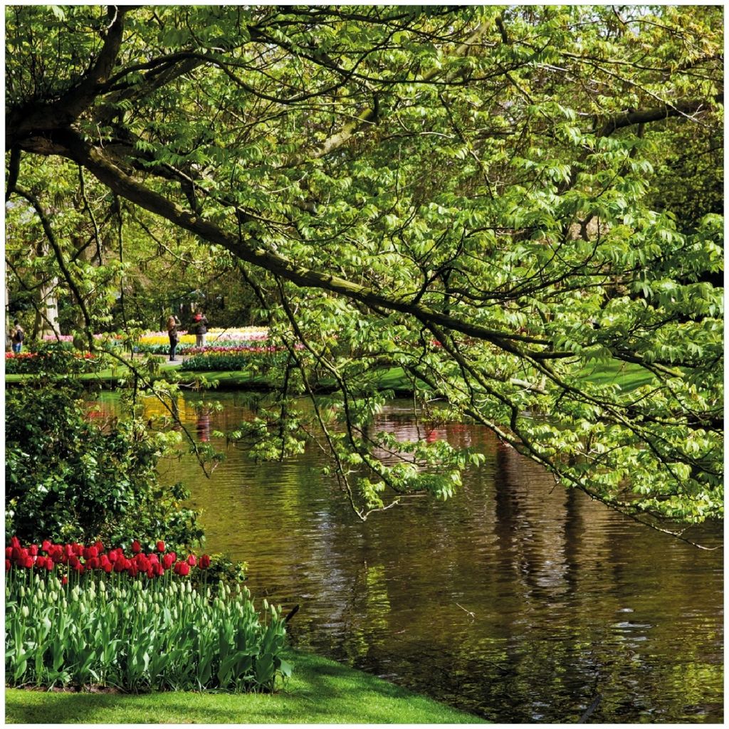 Wallario Premium Glasbild, freischwebende Optik, kräftige Farben, Größe 30 x 30 cm Motiv Bunte Blumen im Park am Wasser - Frühblüher am Ufer