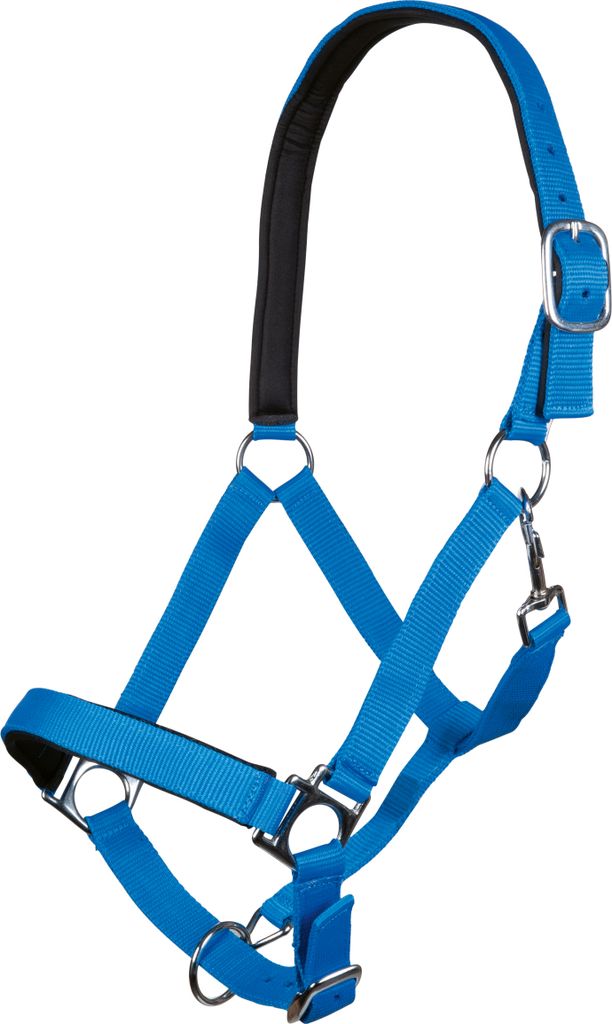 HKM Halfter Stars Softice weich unterlegt KORNBLAU, Gr. Shetty