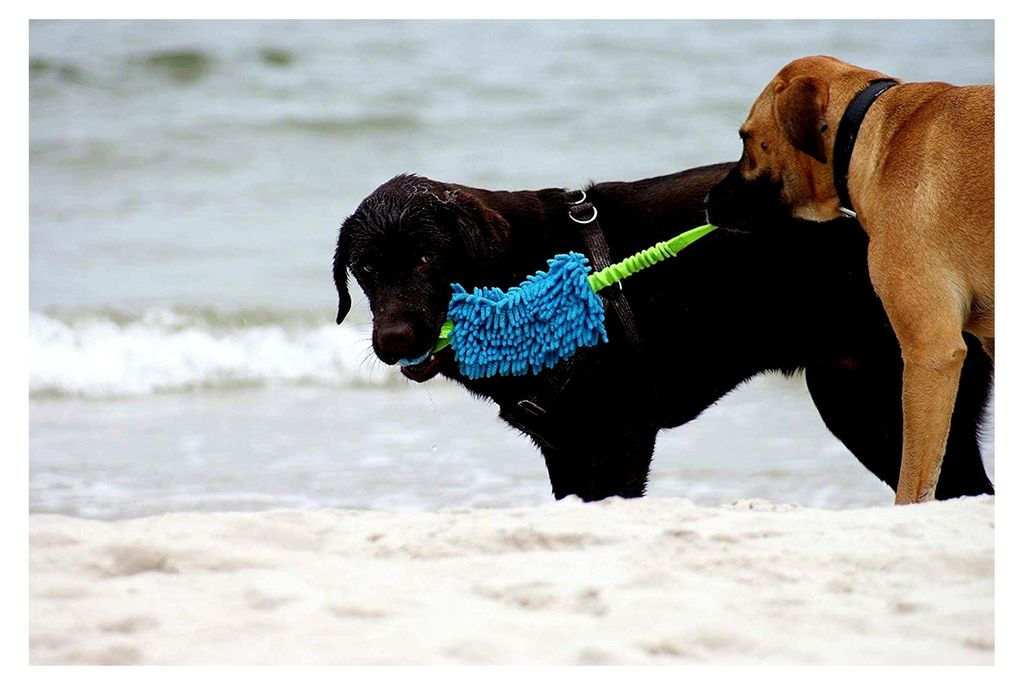 Dingo Mop Bungee Blau mit Vanilleduft Ball Hundespielzeug Agility Apportierspiel