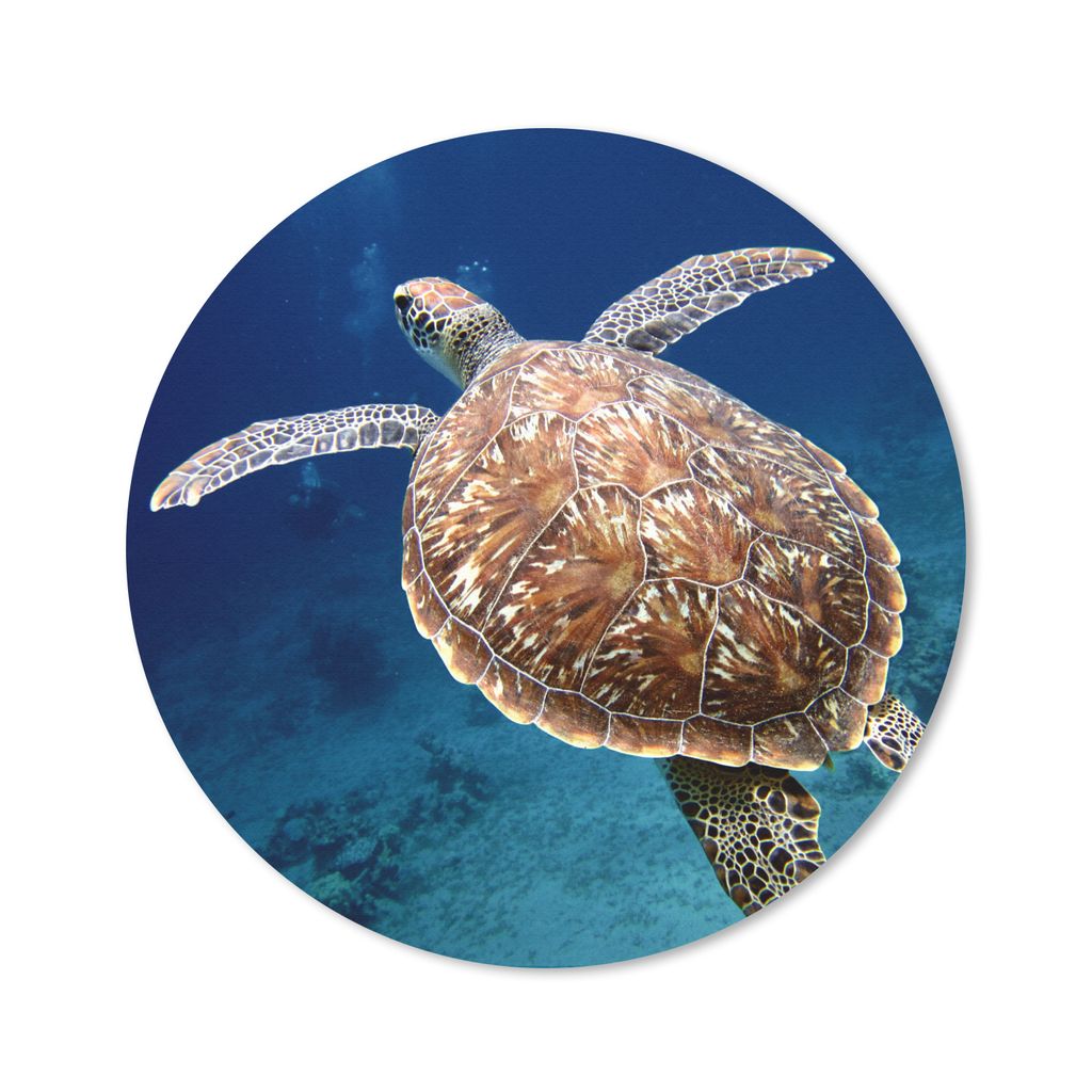 MuchoWow Mauspad Mousepad Schildkröte Fotodruck 20x20 cm - Mousepads - Maus Mat - Pad - Mausunterlage - Schreibtischmatte