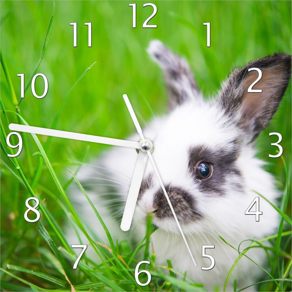Wallario Design Wanduhr Süßer Hase im grünen Gras aus Echtglas, Größe 20 x 20 cm