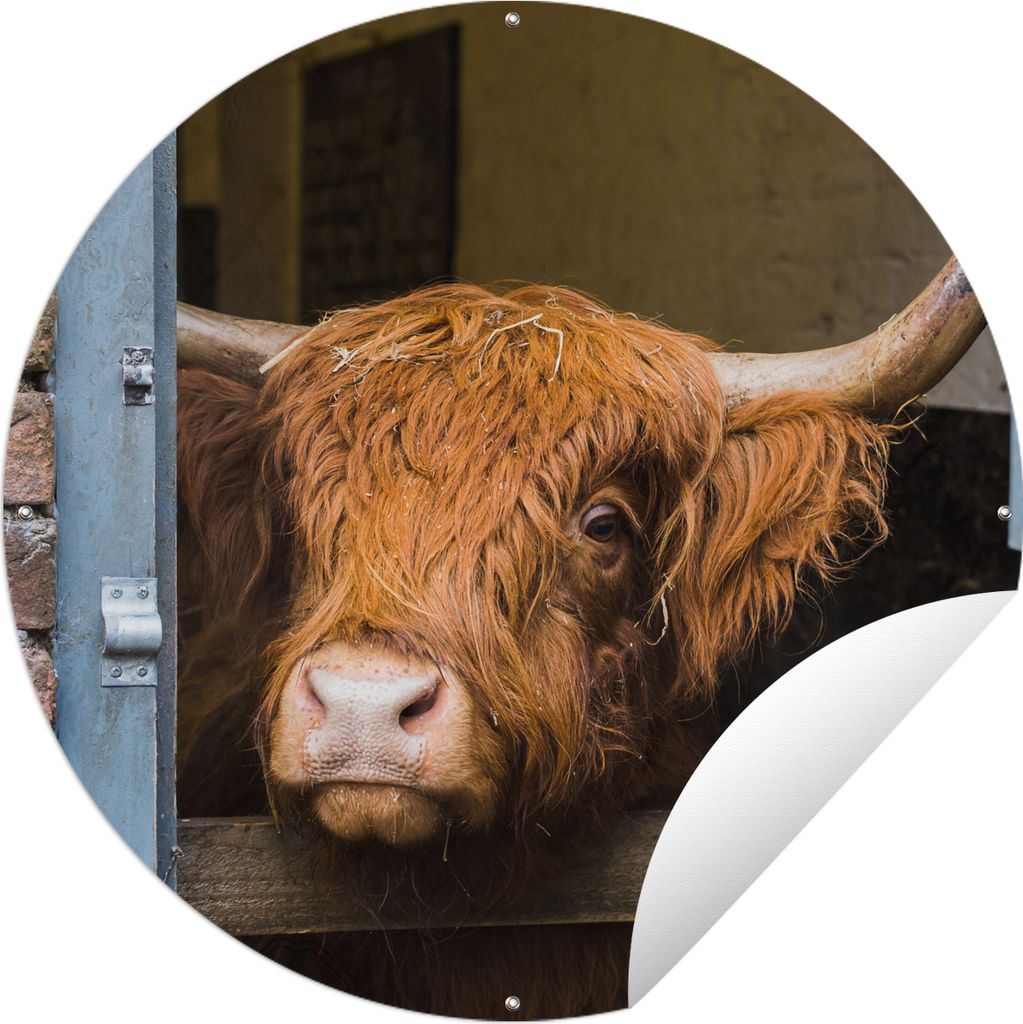 MuchoWow Gartenposter Outdoor-Poster Rund Schottischer Highlander - Bauernhaus - Scheune Ø 90 cm Gartendeko Rundes Poster draußen
