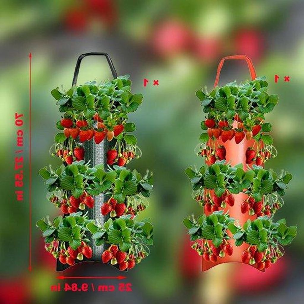 Gartenständer für Erdbeeren und Tomaten - 2 Stück - atmungsaktiv - 6 Löcher
