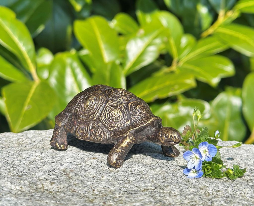 Bronzefigur Schildkröte 8,5cm lang Dekoration aus Bronze Skulptur Tier Figur Deko Geschenk Bronzestatue Wetterfest