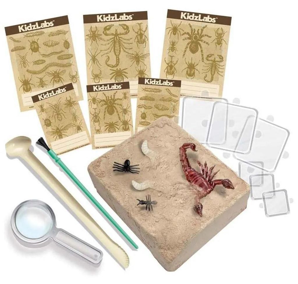 4M DIY set Creepy crawly digging Produktbild 