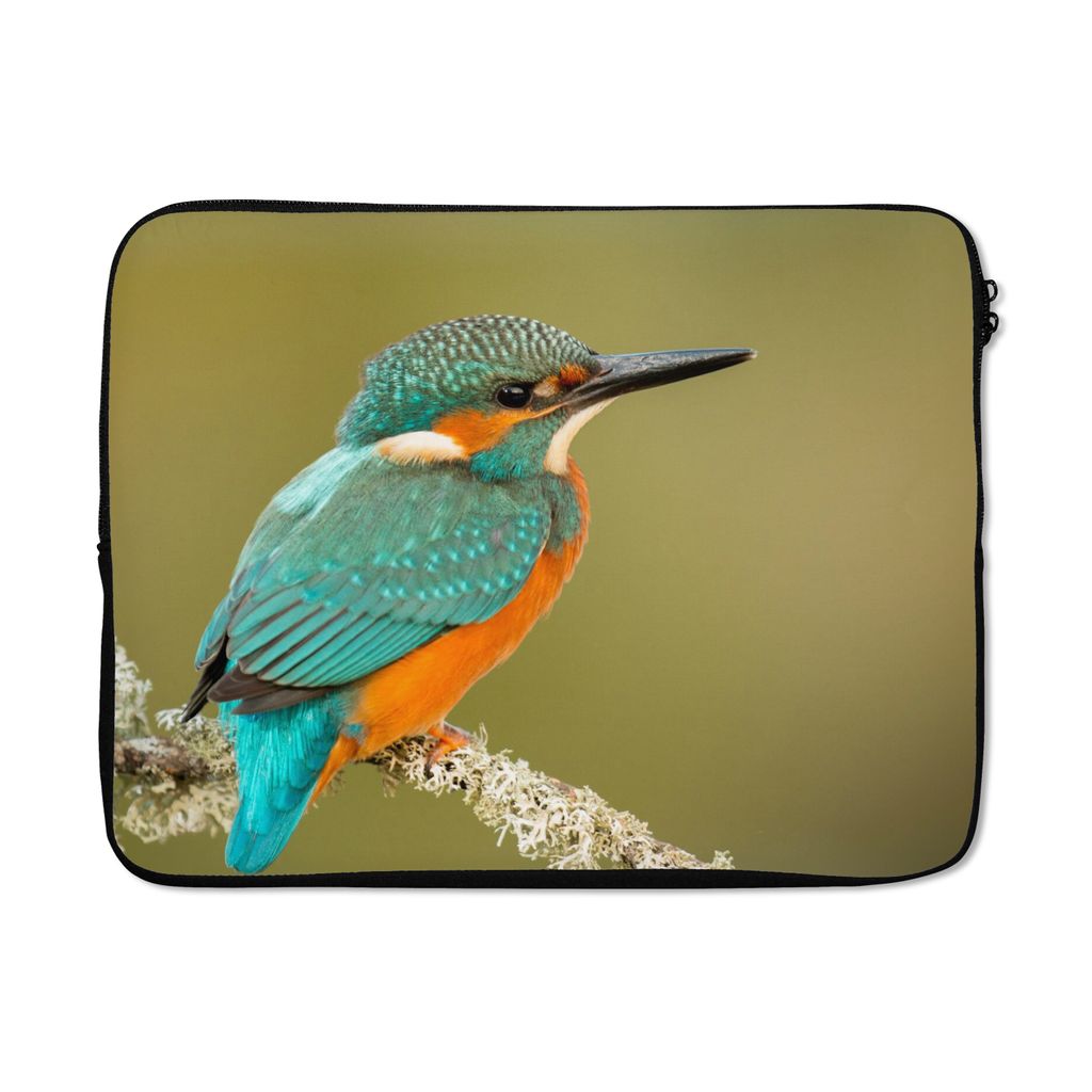 MuchoWow Laptop Hülle 15 Zoll Eisvogel - Tiere - Vogel Laptoptasche - Laptoptasche - Sleeve - Rundum-Schutz