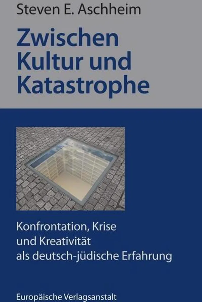 Zwischen Kultur und Katastrophe - Livre d'histoire format broché 450 pages