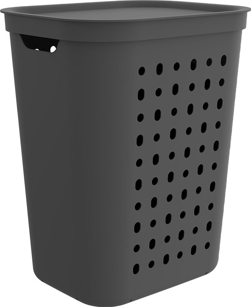 Rotho Wäschesammler 55L Jona - Wäschekorb groß - Wäschetruhe 43,2 x 35,5 x 53,3 cm - Wäschebox mit Deckel - Wäsche Sammler aus Kunststoff