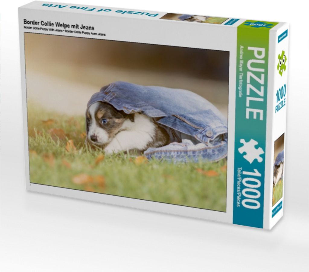 Calvendo Border Collie Welpe mit Jeans 1000 Teile Puzzle quer 640x480mm, Mayer Tierfotografie Andrea; 7459259