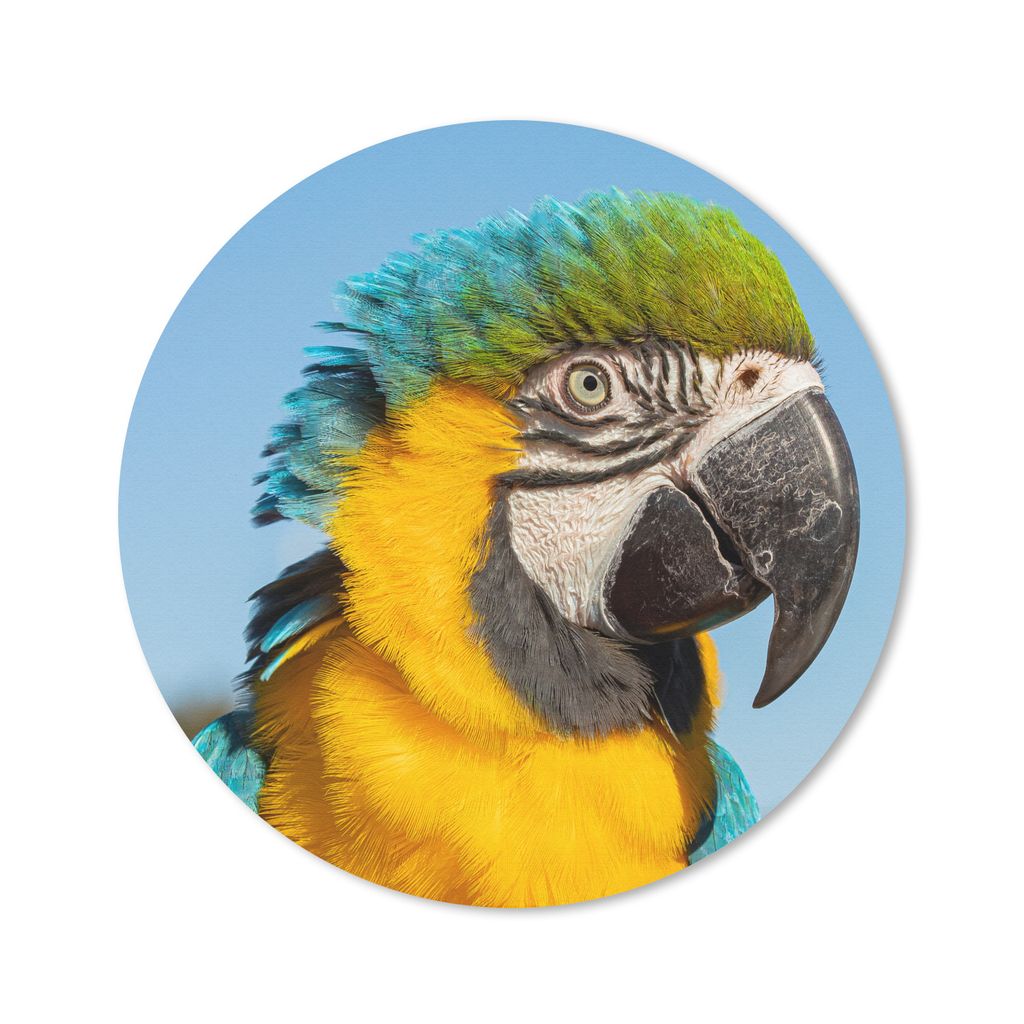 MuchoWow Mauspad Mousepad Nahaufnahme eines Papageis mit buntem Gefieder 30x30 cm - Mousepads - Maus Mat - Pad - Mausunterlage - Tischunterlage -...