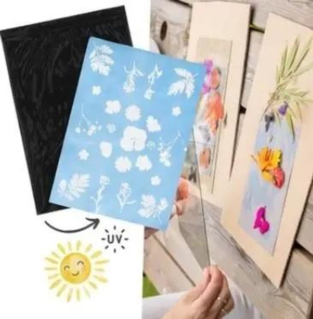 Papier photographique solaire, lot de 12 (format DIN A5). Image du produit 