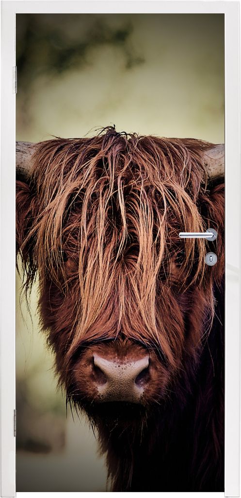 MuchoWow Türtapete Selbstklebende Türfolie Schottischer Hochländer - Licht - Porträt - Natur 90x235 cm Türposter Türaufkleber Klebefolie T...