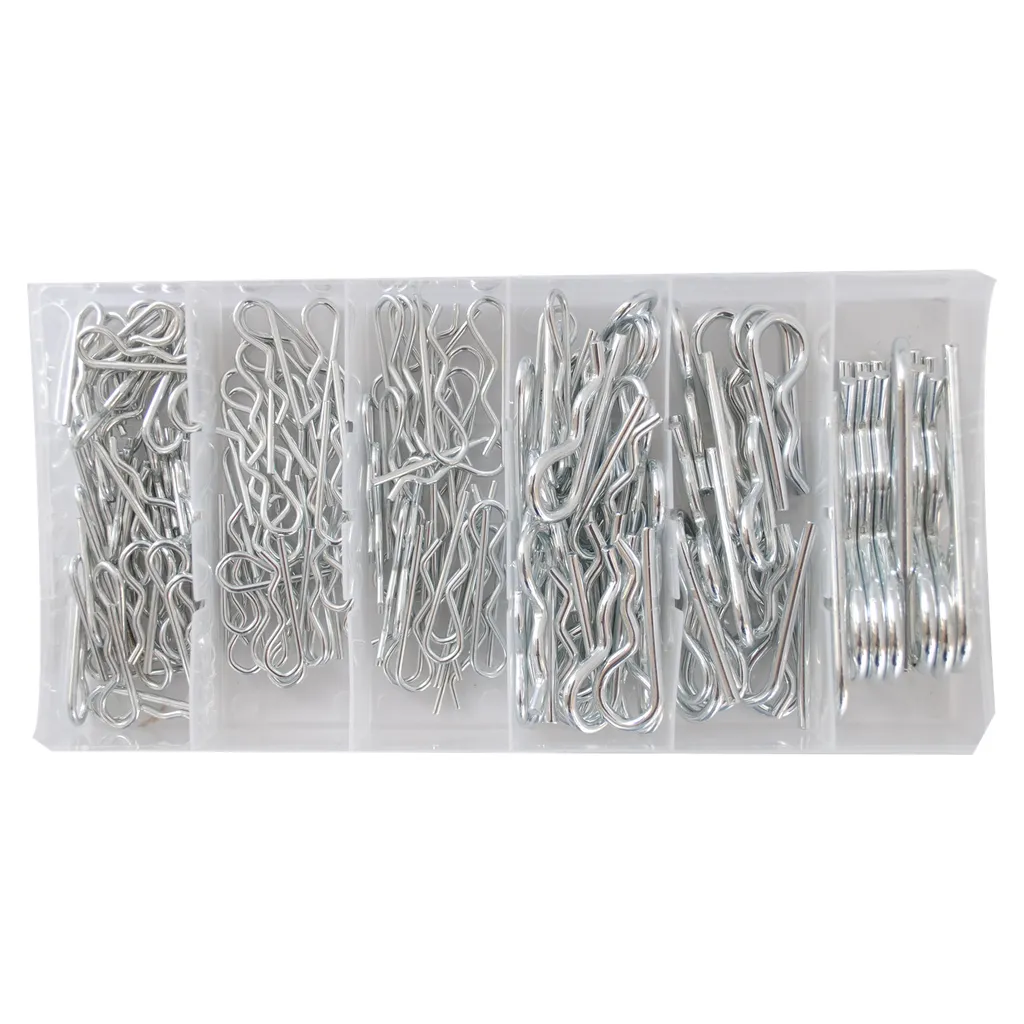 Set Professionale CCLIFE 150 R-Clips | Copiglie Zincate DIN Standard - 4