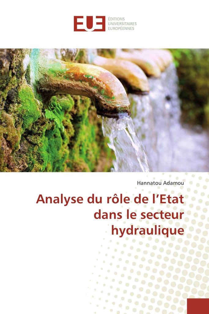 Analyse du rôle de l'Etat dans le secteur hydraulique
