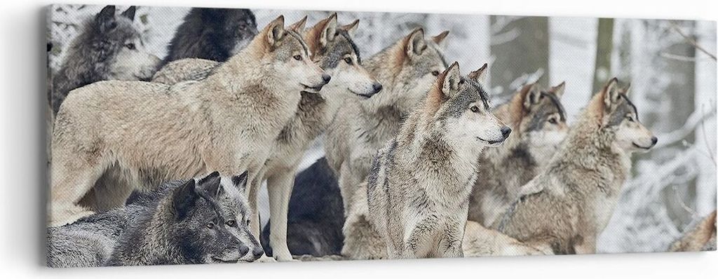 Bild auf Leinwand - Leinwandbild - Einteilig - Rudel Wölfe Winter - 90x30cm - Wand Bild - Wanddeko - Wandbilder - Leinwanddruck - Bilder - Wanddek...