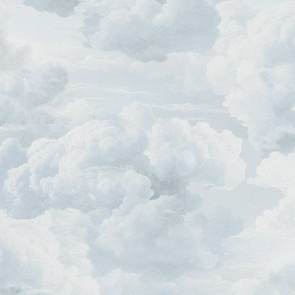 A.S. Création Michalsky 6 39985-3 10,05m x 0,53m Rapport: 64