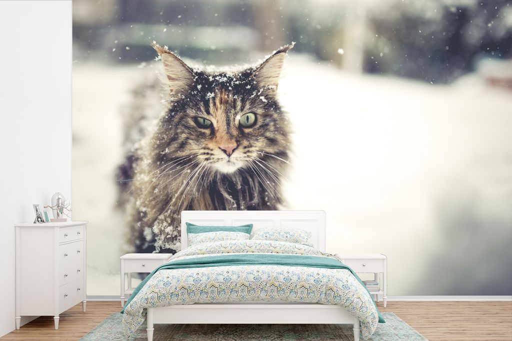 MuchoWow Fototapete für Wohnzimmer oder Schlafzimmer Wandtapete Vinyl Motivtapete Katze - Schnee - Tiere - 525x350 cm - Das Hintergrundbild