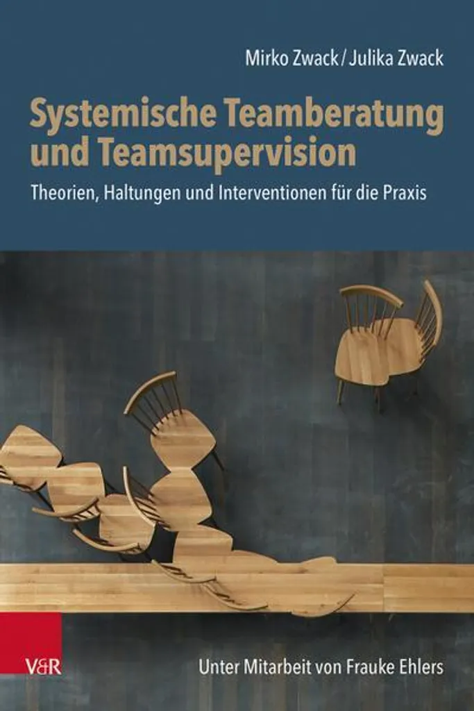 Supervision d'équipe Systémique : Séance de Conseil et Coaching de Groupe