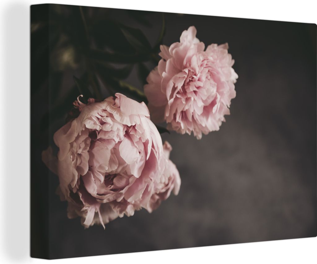 OneMillionCanvasses - Leinwandbilder - 140x90 cm, Blumen - Rosa - Pfingstrose - Stilleben, Wandbilder Kunstdruck Wanddekoration - Foto auf Leinwa...