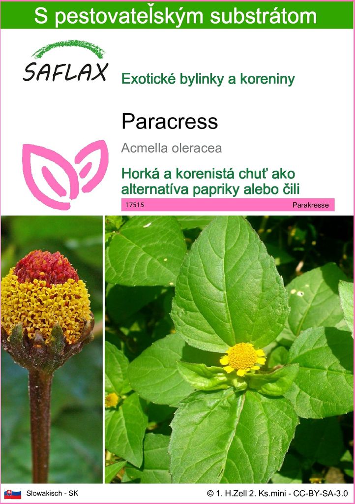 SAFLAX - paracress - Acmella oleracea - 500 Semená - S Obrázok produktu 