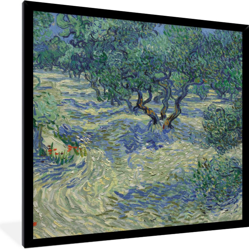 MuchoWow Gerahmtes Poster Der Olivenhain - Gemälde von Vincent van Gogh 40x40 cm - Poster mit Schwarzem Bilderrahmen Wandposter Rahmen Foto Bild...