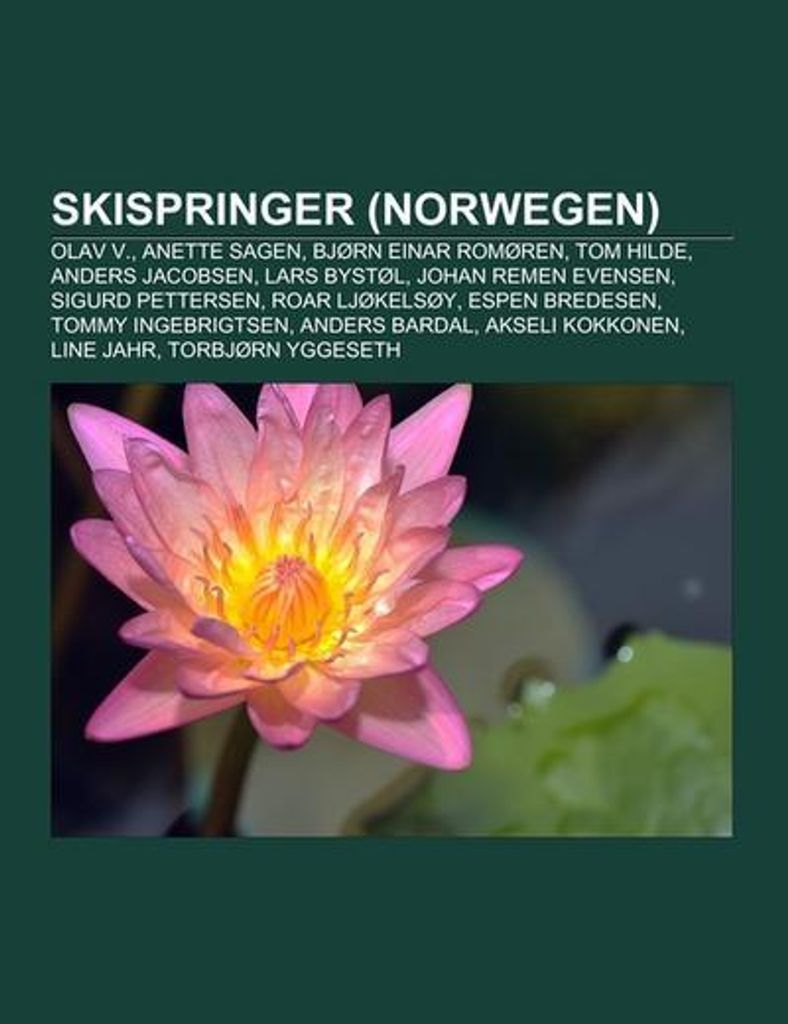 Skispringer (Norwegen)