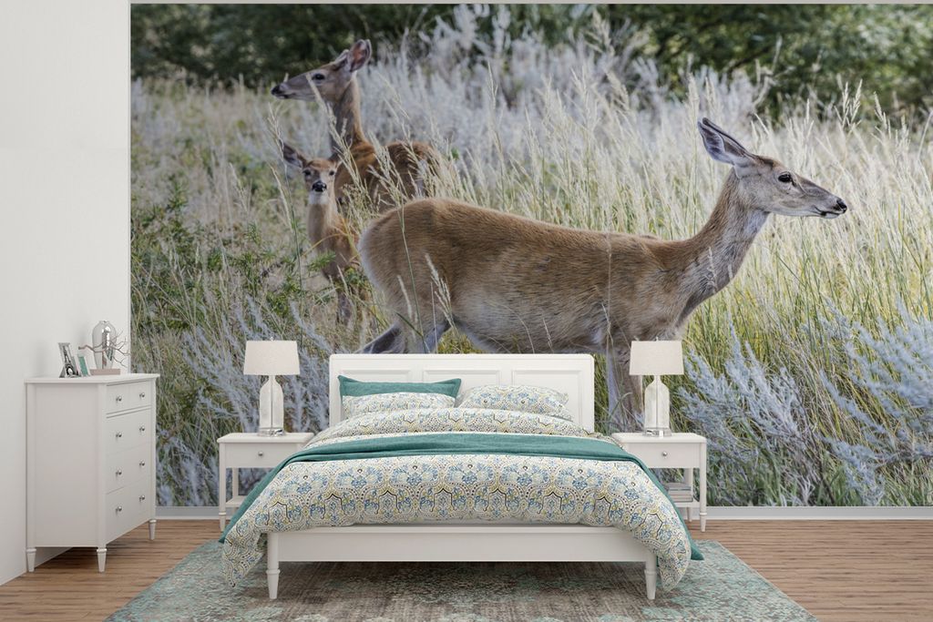 MuchoWow Fototapete für Wohnzimmer oder Schlafzimmer Wandtapete Vinyl Motivtapete Tiere - Rehe - Helmgras - 305x220 cm - Wandbilder
