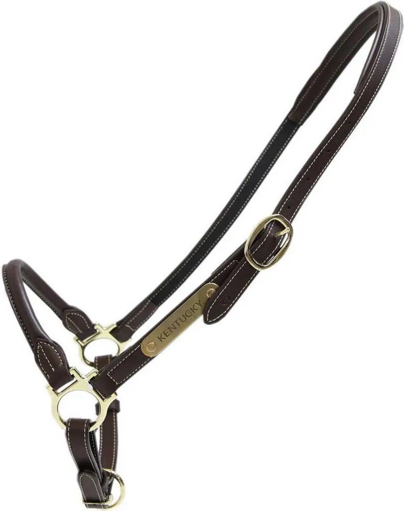 Licol de pansage en cuir Kentucky Horsewear Golden taille Cob Pro