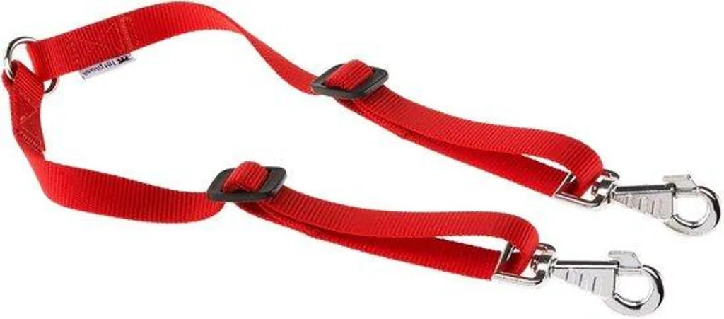 Assortiment de laisses pour chiens - Set de 3 laisses robustes en nylon