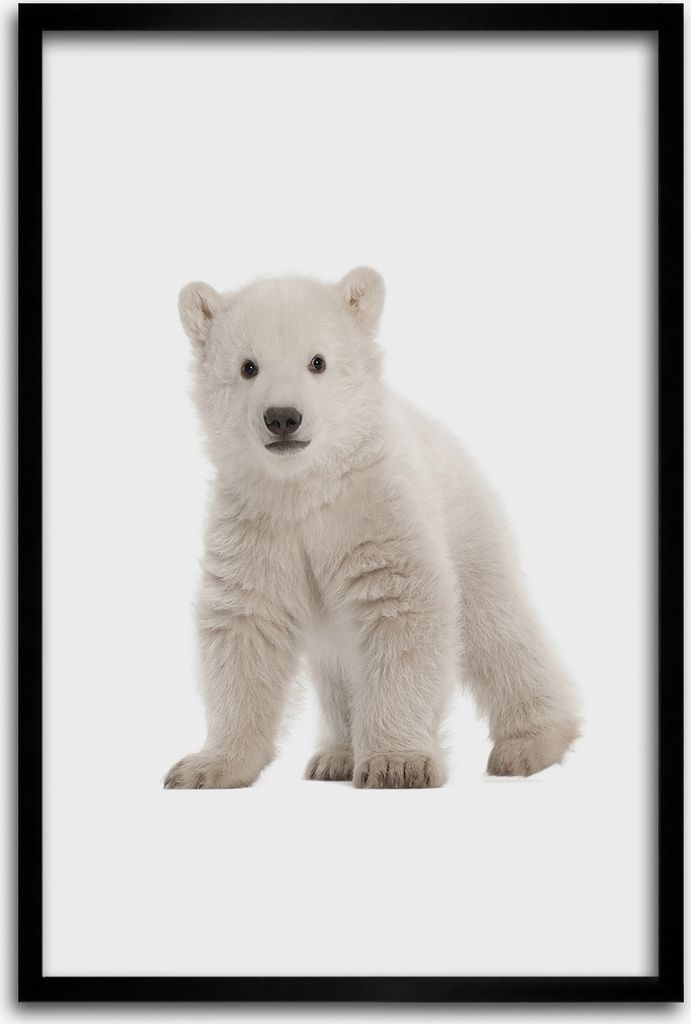 Bild - Bilderrahmen - 40 cm x 60 cm - MDF - Rahmen - Wandkunst - Eisbär