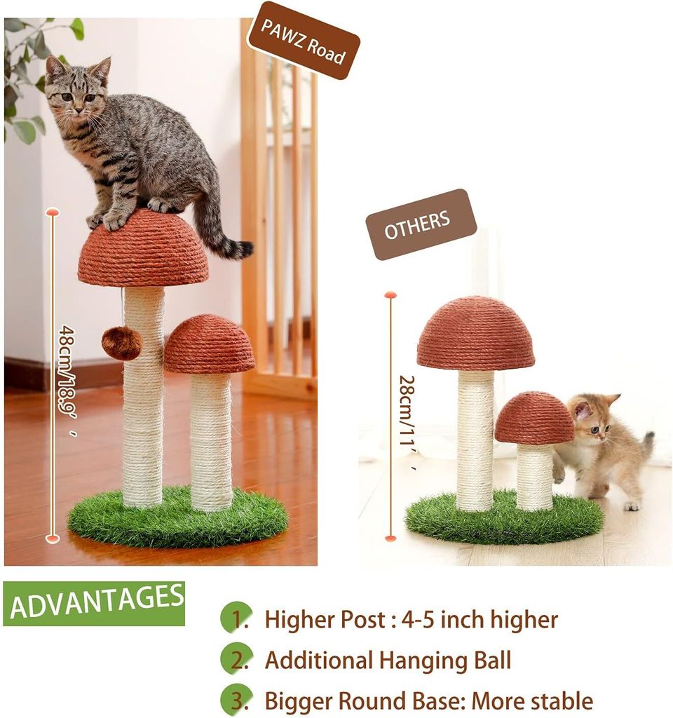PurpurRain – Kratzstamm Champignon für Katzen, 48 cm Produktbild 5