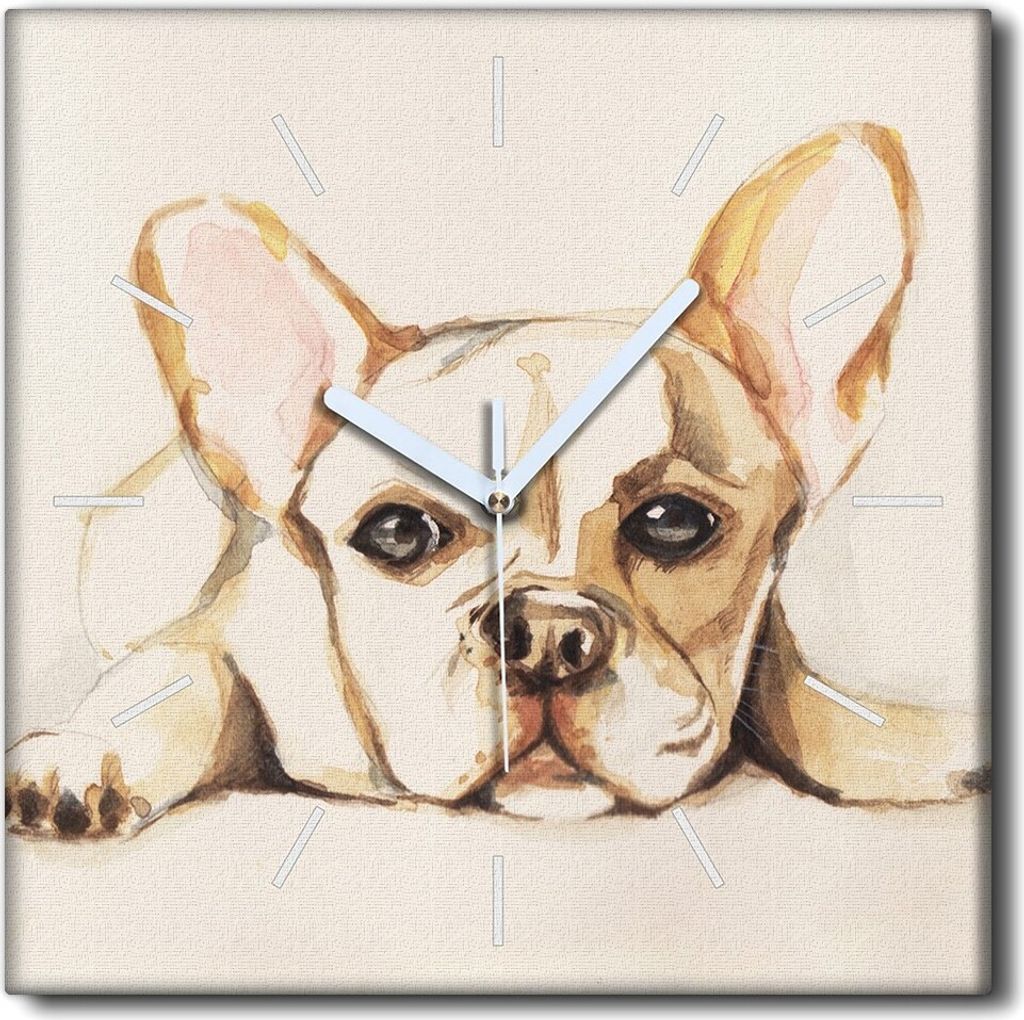 Coloray Uhr auf Leinwand 30x30 cm Wand Uhr Dekoration Wohnzimmer Segeltuch weiße Zeiger -Bulldoggog-Hundetier.