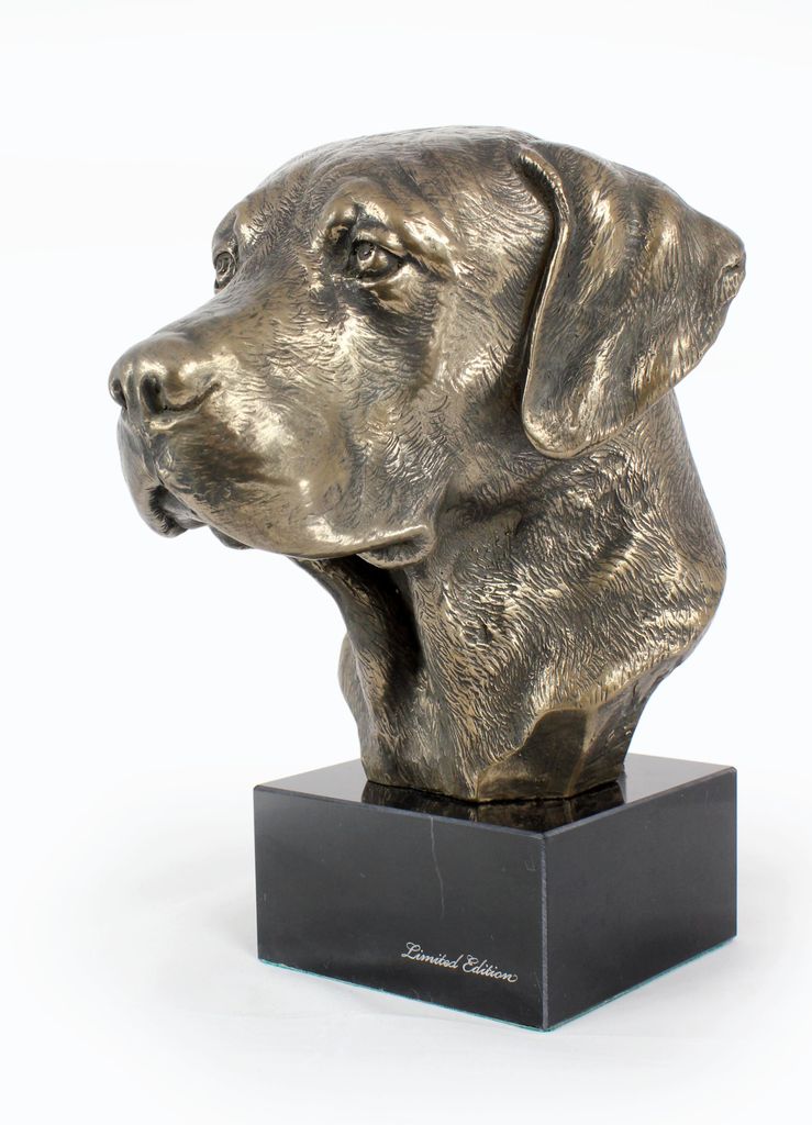 Labrador retriever - Statue de chien, buste sur socle en Image du produit 