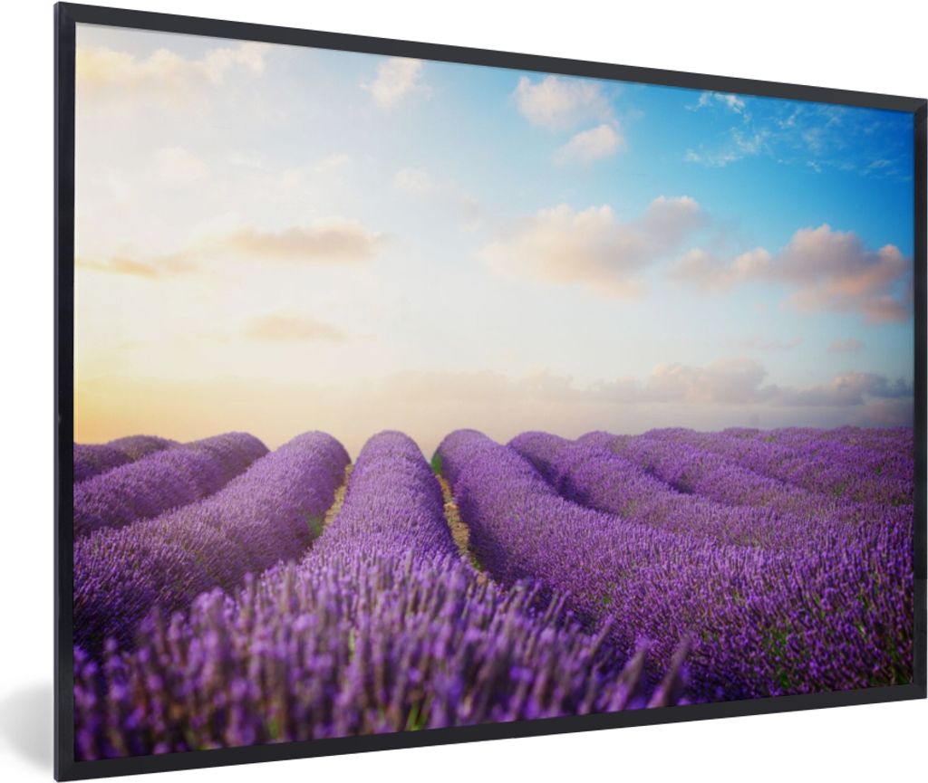 MuchoWow Gerahmtes Poster Lavendel - Himmel - Wolken - Blumen 60x40 cm - Poster mit Schwarzem Bilderrahmen Wandposter Rahmen Foto Bilder - Printi...