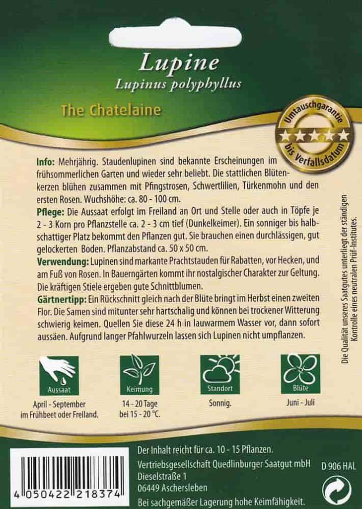 Quedlinburger Saatgut - Lupine The Chatelaine - Samen - 291837