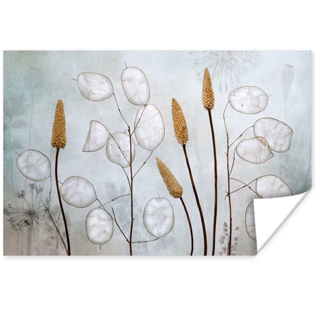 MuchoWow Poster Stilleben - Trockenblumen - Natur 180x120 cm - Fotoplakat