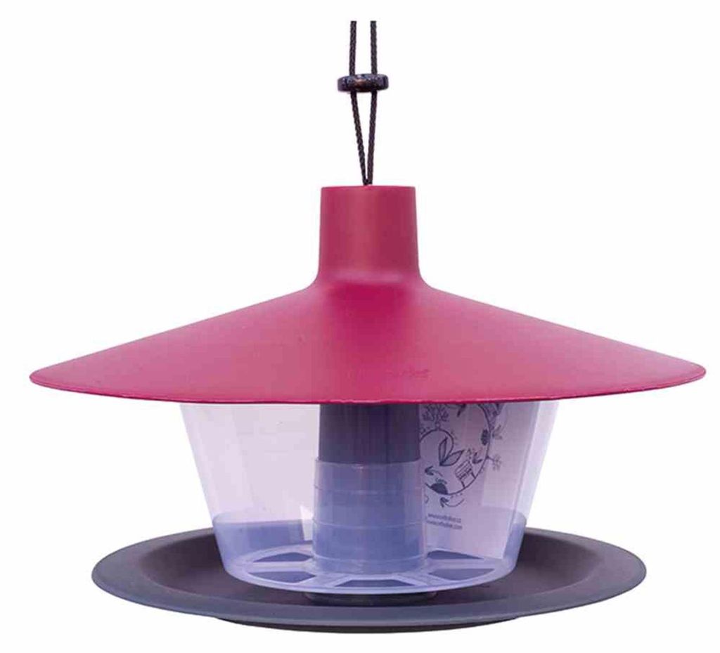 Mangeoire pour oiseaux 1606970194 plastique Finch Ø28xH18 Image du produit 