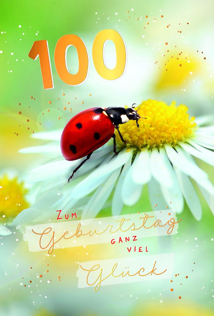 100. Geburtstag Karte mit Briefumschlag Marienkäfer auf Blüte, mit Goldfolie