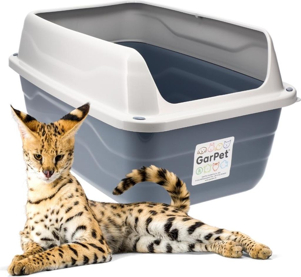 XXL Extra hohe Katzentoilette offene Katzenklo mit hohem Rand ohne Deckel große Katzentoilette offen Katzenklo hoher Rand