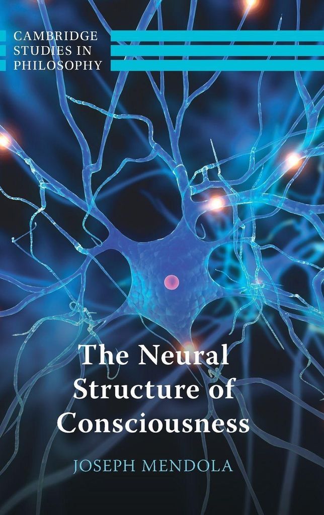 The Neural Structure of Consciousness