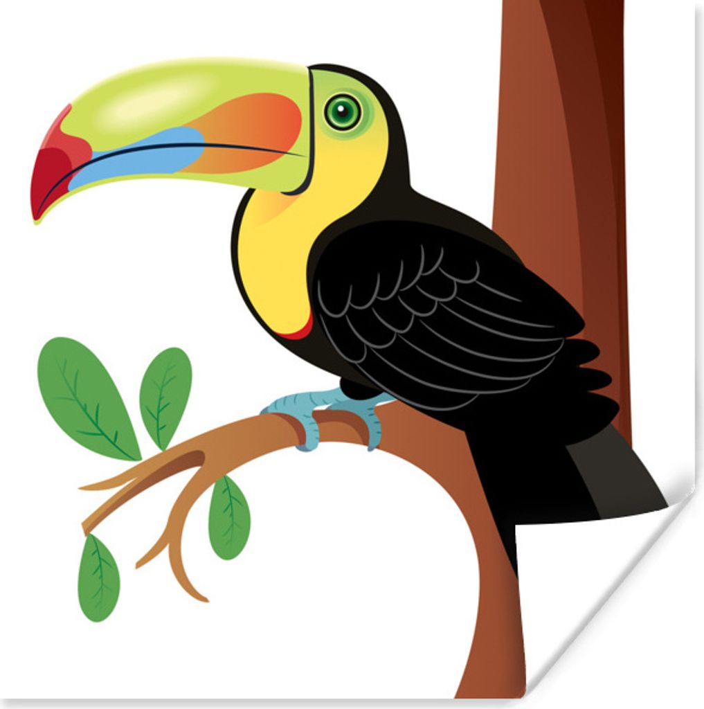 MuchoWow Poster Eine Vektor-Illustration von einem bunten Tukan 75x75 cm - Wand Dekoration