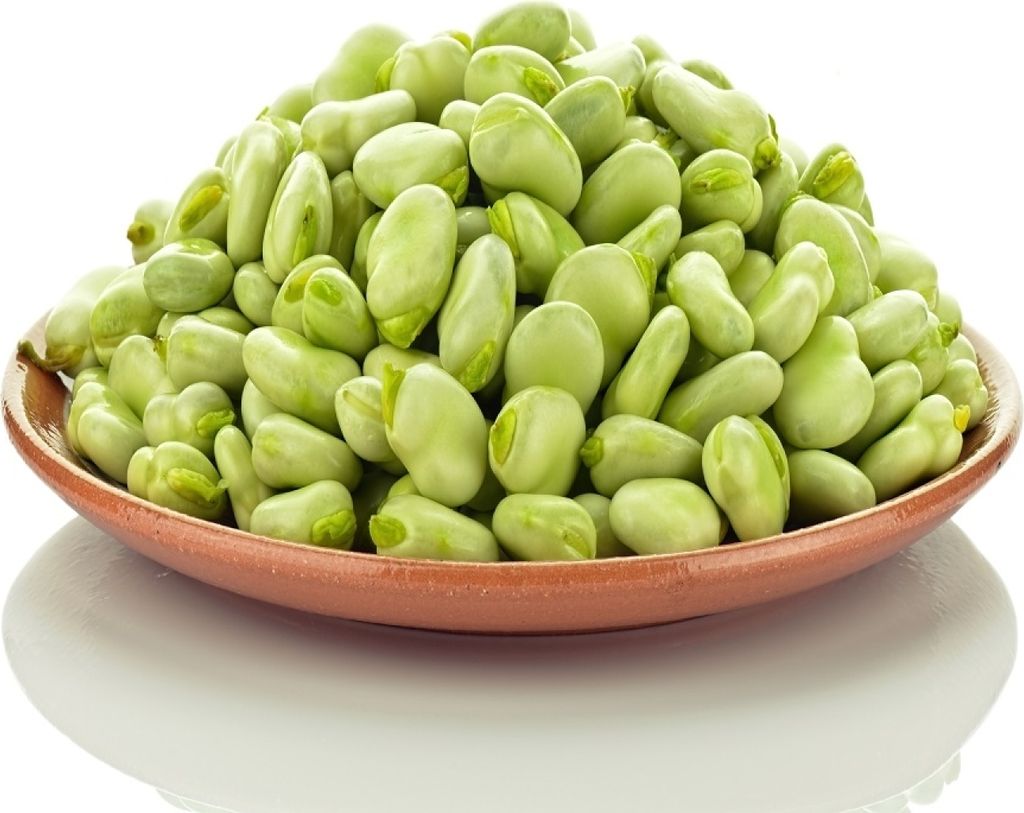 Polnische frische Ackerbohnen ca. 1 kg Produktbild 