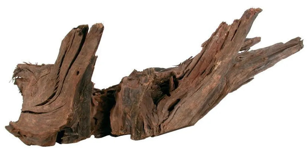 Aménager un Aquarium Naturel avec la Racine Mangrove Zolux L 40/60 cm - 3
