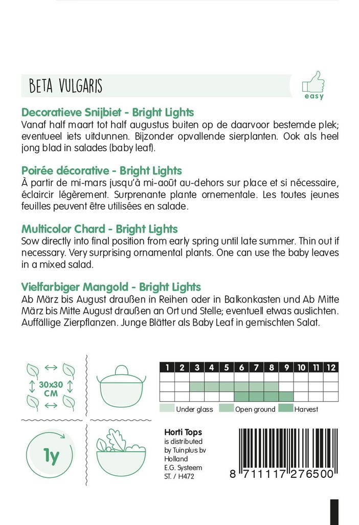 Mangold Bright Lights | Mangoldsamen von Hortitops
