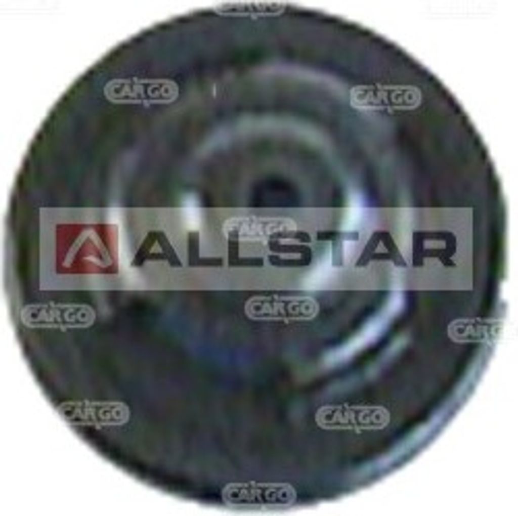 Kraftstoffpumpenelement BOSCH 2 447 419 002