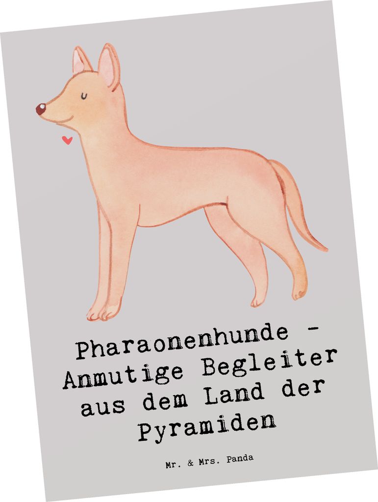 Mr. & Mrs. Panda Postkarte Pharaonenhund Freunde - Grau Pastell - Geschenk, Grußkarte, Hundeerziehung, einzelkarte, treuer Begleiter, Fotokarte, H...